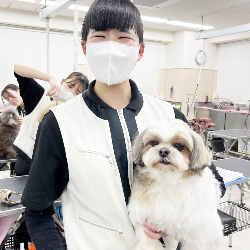 スキルアッププログラム♪